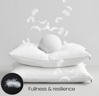 Matériau de Remplissage en Duvet de Canard Blanc 5/95 RDS DOWNPASS Doux et Moelleux pour Vestes, Oreillers, Couettes, Canapés - Vente en Gros