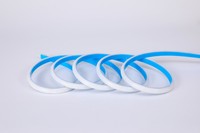 Tira de LED de Silicona de Neón en Forma de D de 7.513 mm, 12 V, IP67, Impermeable, Regulable, para Decoración del Hogar y Publicidad