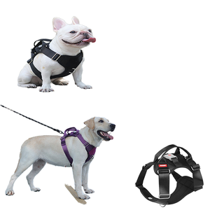 Laisse pour chien, laisse pour petit chien, laisse pour chien Dou Fashion, sangle de poitrine solide pour l'extérieur, rembourrage en polyester anti-explosion, bouton, laisse pour chien - Product Image 1