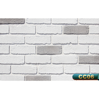 BERICH PL01 Briques fines pour revêtement mural extérieur, briques blanches en vente