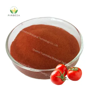 Prezzo all'ingrosso concentrato di succo di pomodoro in polvere estratto di frutta di pomodoro biologico naturale al 100% in polvere