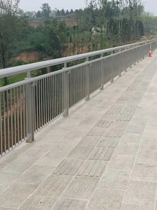 Barandilla vendedora caliente del acero inoxidable del metal de la altura de los 2m para el río y el camino - Product Image 3