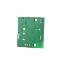 Mini amplificateur audio mono haute puissance, module amplificateur numérique Hi-Fi 60W, compatible 12V/24V