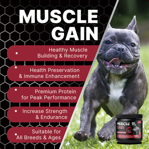 Ingrédients naturels sans grains à haute teneur en protéines Gain de muscle pour chien Doux Mâche Soutien immunitaire Supplément pour animaux de compagnie - Product Image 2