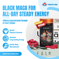 Capsules d'extrait de Maca noire du fabricant direct avec L-Arginine pour le soutien quotidien de l'endurance et de la force chez les hommes actifs, 90 unités