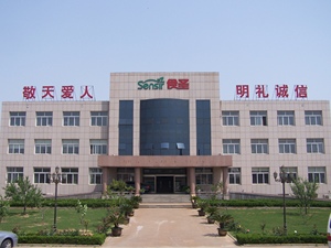 Nhật Bản Nhà Hàng Nhà Sản Xuất Bán Buôn Bảo Quản Rau Ngâm Màu Hồng <span class=keywords><strong>Sushi</strong></span> Gừng - Product Image 6