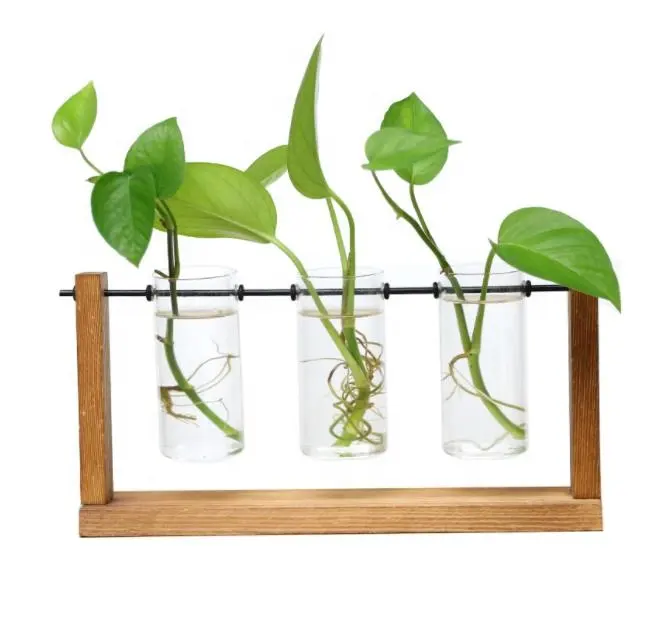 크리 에이 티브 미니 투명 테스트 튜브 무라노 유리 꽃병 나무 프레임 녹색 식물 꽃꽂이