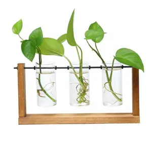Creative mini transparent test tube murano glass vase wooden frame green plant flower arrangement