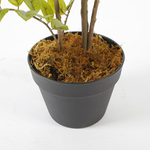 Plantas artificiales <span class=keywords><strong>de</strong></span> <span class=keywords><strong>pera</strong></span> amarilla falsa <span class=keywords><strong>de</strong></span> 120cm, planta <span class=keywords><strong>de</strong></span> interior <span class=keywords><strong>de</strong></span> imitación, planta <span class=keywords><strong>de</strong></span> bonsái para sala <span class=keywords><strong>de</strong></span> estar, oficina, decoración del hogar - Product Image 4