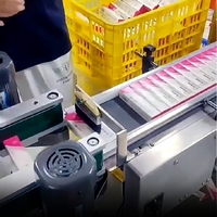 Emballage de bouteilles en verre Encartonneuse automatique de flacons d'huile essentielle Emballage de boîtes en carton Cartonneuse