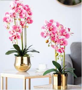 Flor Artificial de alto grado, al por mayor, en maceta decorativa, flor en maceta de <span class=keywords><strong>Dendrobium</strong></span> con toque Natural - Product Image 2