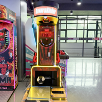 Machine de jeu d'arcade électronique de boxe et de kick, avec fonction de frappe automatique, certifiée CE, 110V-240V, pour un joueur, en fer, version anglaise