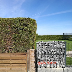 Kanada'da kolay kurulum kaynaklı Gabion kutusu istinat duvarı Gabion tel kafes 200x100x50cm