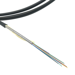 Cable de Fibra Óptica Blindado para Interiores y Exteriores, Tubo de Acero Inoxidable 12c, OM2 / OM3 / OM4 / G652D / G657A1 / G657A2, Anti-Roedores - Product Image 2