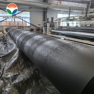 Bâche de <span class=keywords><strong>bassin</strong></span> en polyéthylène haute densité (HDPE) de 1 mm, géomembrane lisse et imperméable <span class=keywords><strong>pour</strong></span> fondations aquacoles, barrages, décharges et réservoirs - Product Image 1