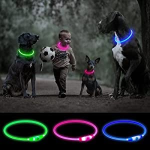 <b>Dog</b> Accessories Waterproof Pet Flashing Light up <b>Dog</b> Collar USB Rechargeable Night Safety Luminous Glowing Led <b>Dog</b> Collar - Product Image 5