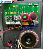 Módulo Amplificador de Placa para Subwoofer Activo de 220V, Transformador Toroidal, Placa Amplificadora de Bajos para Cine en Casa con Entrada de Alto Nivel