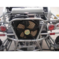 Renli 500CC EEC5 Dune Buggy/Buggy homologué pour la route/Buggy à essence