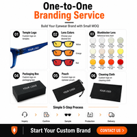 Lunettes unisexes avec monture TR90 bleue cristalline, verres en résine CR39, taux de filtration SR 80%-100%, faible MOQ, protection contre la lumière bleue.