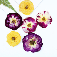 Roses séchées pressées, fleurs séchées naturelles, roses séchées réelles pour la création de bijoux en résine, fournitures pour l'artisanat DIY