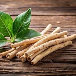 Ashwagandha de Calidad de Exportación |   Hierba Botánica Premium para la Fabricación de Suplementos - Product Image 1