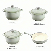 Ensemble de 5 casseroles en fonte, résistantes au four, avec poêle à frire, compatible induction et gaz, pour cuisine domestique