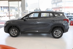 批发中国赛图斯<span class=keywords><strong>2026</strong></span> 1.5L涡轮增压5座高速汽油SUV自动变速箱前驱新款欧六R16全景天窗 - Product Image 5