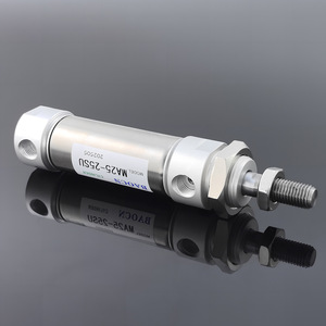 Mini-cylindre MA25 25SU en acier inoxydable à double action avec queue magnétique plate pivotante - Product Image 1