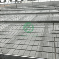 Équipement agricole : Système de culture vertical haute performance pour semis, serre hydroponique d'intérieur avec bacs ABS 4x8