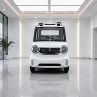 Mini camionnette électrique utilitaire pour le transport de marchandises, idéale pour la logistique d'usine et les transport agricoles