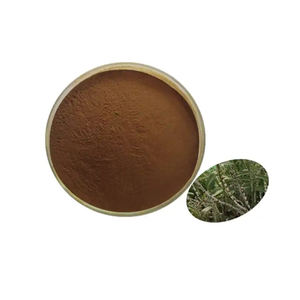 <span class=keywords><strong>Dendrobium</strong></span> <span class=keywords><strong>Extract</strong></span> <span class=keywords><strong>100%</strong></span> Natuurlijke <span class=keywords><strong>Dendrobium</strong></span> Officinale <span class=keywords><strong>Extract</strong></span> Poeder - Product Image 6