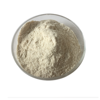 Poudre de coquilles d'huîtres de qualité alimentaire, vente en gros