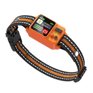 Collier de dressage pour chien avec clôture électronique GPS, étanche, écran LCD, suivi en temps réel 4G, pour extérieur - Product Image 2