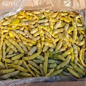 Haricots jaunes dorés frais de qualité supérieure / Qualité export / Origine Chine / Vente en gros / IQF surgelés / À vendre - Product Image 4