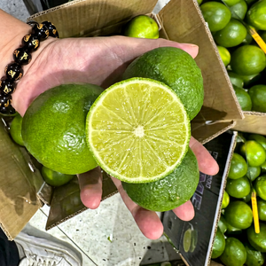 Vente en gros de citrons verts entiers IQF surgelés, fournisseur du Vietnam // Pour la cuisine et les boissons // Mme Reina // 2026 - Product Image 1