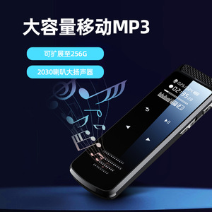 Q55 Professional <b>Voice</b> <b>Recorder</b> MP3 WAV Transcription Noise Reduction - Product Image 3