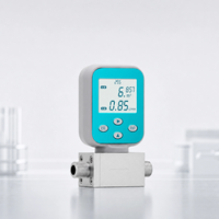 Débitmètre massique thermique pour gaz 4-20mA RS485 Haute Précision – Mesure du débit d'air comprimé, de gaz naturel, d'azote et d'oxygène