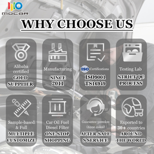 Filtro Carburante Personalizzato per Motore Diesel <span class=keywords><strong>Audi</strong></span> A3, Alta Qualità, Servizi OEM PU8021 - Product Image 4