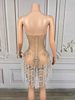 Combinaison scintillante argentée à strass et franges pour femme, sexy, exotique, en spandex, pour spectacle de danse, tenue de boîte de nuit, chanteuse, danseuse