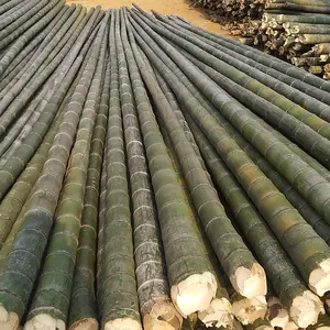 Pali di doghe di bambou naturali materie prime di bambù pressate strisce di canna bastoncini formati palo di bambù diametro 45mm
