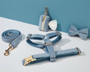 ชุดสายจูงสุนัขและสายจูงสุนัข Dustyblue Veet แบบปรับแต่งเองในสายจูงลูกสุนัข + ปลอกคอ + โบว์ + ที่ใส่ถุงปูไม่มีสายรัดสำหรับงานแต่งงาน - Product Image 3