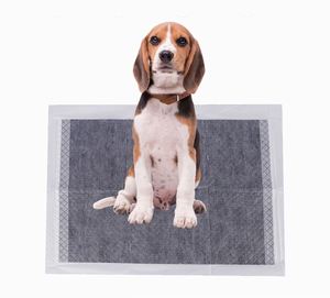 Tapis d'apprentissage hygiéniques jetables pour chiens, absorbants, au charbon de bois bleu, pour l'urine et les pipis - Product Image 2