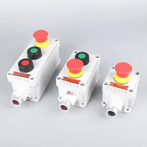 Explos Proof Switch 10A 2 Position Red Green Ex De Iic T6 Ex Proof Emergency Stop Button Box