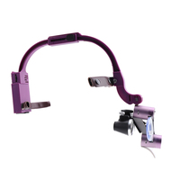 Loupe binoculaire à grossissement 2,5X 3,5X avec lampe frontale LED 5W pour usage dentaire