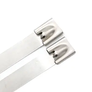BCST001 Serre-câble en acier inoxydable réutilisable autobloquant bon marché
