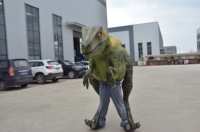 Costume de dinosaure Velociraptor réaliste de Zigong, en plastique robuste, avec jambes apparentes, tailles personnalisées, pour parcs d'aventure et aéroports
