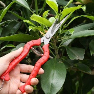 Sécateur de jardin en acier inoxydable pour la <span class=keywords><strong>taille</strong></span> des pommes et des poires, cisaille à double embout pour plantes et arbres - Product Image 3
