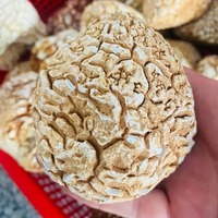 Pierres brutes d'agate naturelle uniques, forme d'ananas, non polies et brutes, avec des couleurs variées, magnifiques spécimens minéraux et cristaux