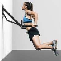 Rak Pull-Up Dip Push-Up Wellshow dengan Desain Terpisah yang Dipasang di Dinding, Peralatan Fitness