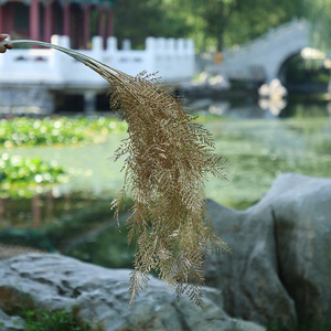 Flores Artificiales Xinchengzhi de 100 cm de Altura, Simulación Realista, Decoraciones para Bodas, Guirnalda Colgante para Exteriores - Product Image 4